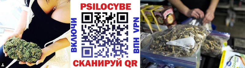 Галлюциногенные грибы Psilocybine cubensis  Луга 