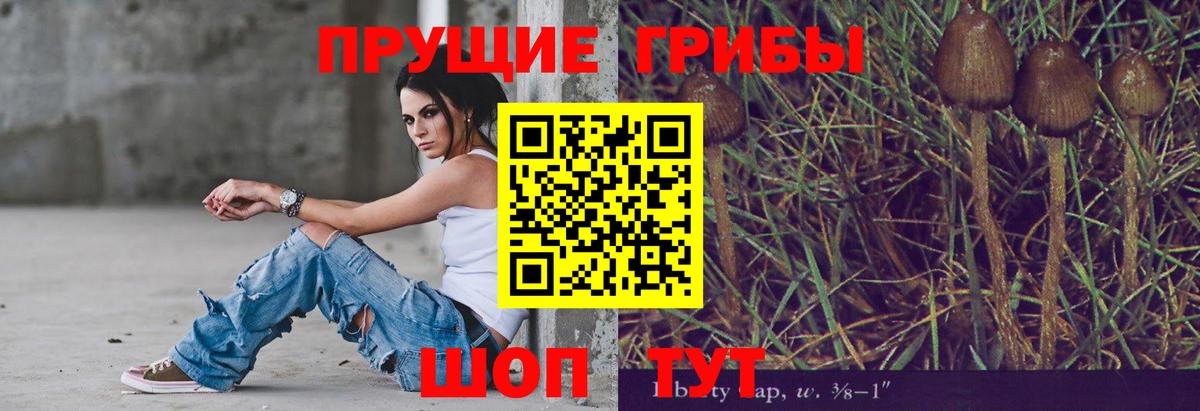 Галлюциногенные грибы MAGIC MUSHROOMS  Вход с VPN  Луга  Галлюциногенные грибы Psilocybine cubensis 